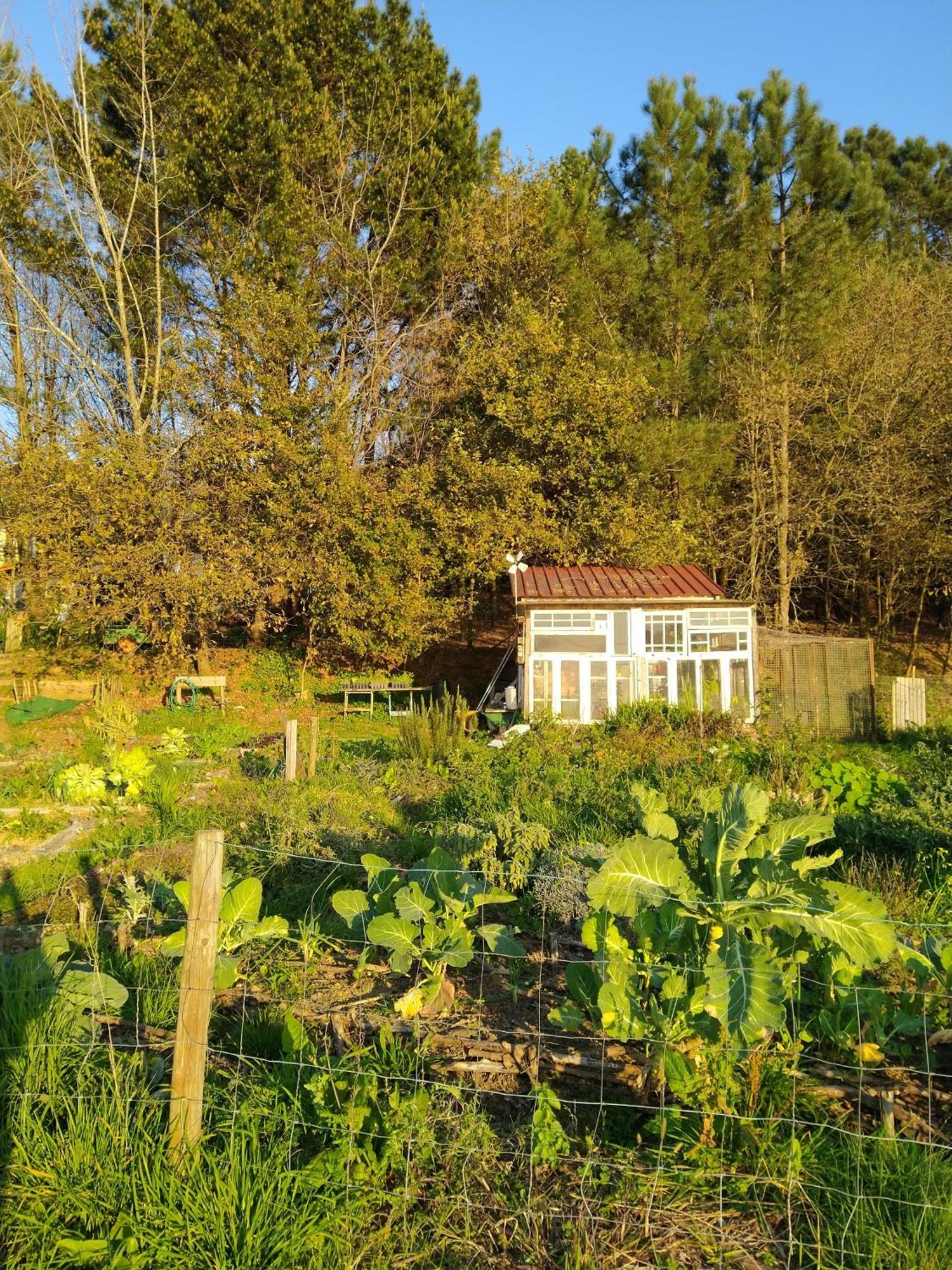 Associacao Quinta Das Relvas Branca 외부 사진